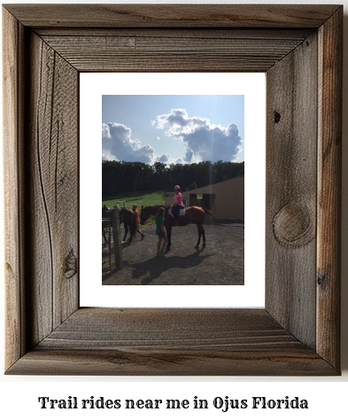 trail rides near me in Ojus, Florida